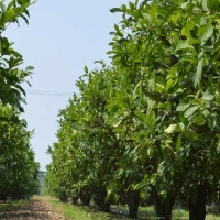 省委第七巡視組巡視西北有色金屬研究院黨委工作動(dòng)員會(huì)召開(kāi)